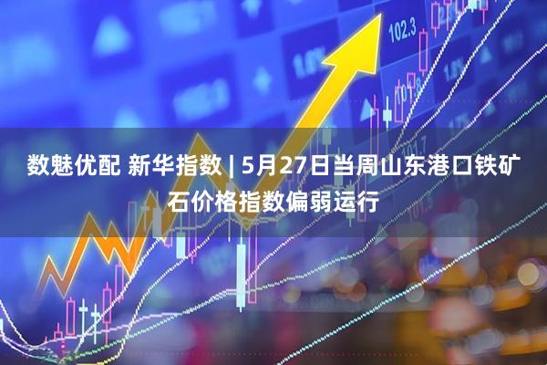 数魅优配 新华指数 | 5月27日当周山东港口铁矿石价格指数偏弱运行