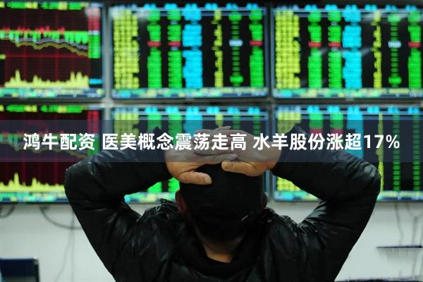 鸿牛配资 医美概念震荡走高 水羊股份涨超17%