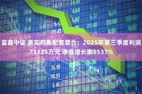 富鑫中证 嘉实均衡配置混合：2025年第三季度利润73135万元 净值增长率1537%